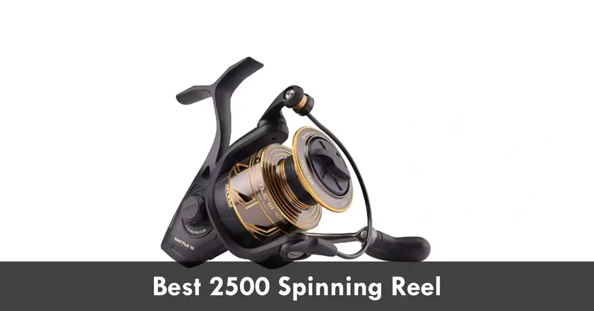 Best 2500 Spinning Reel