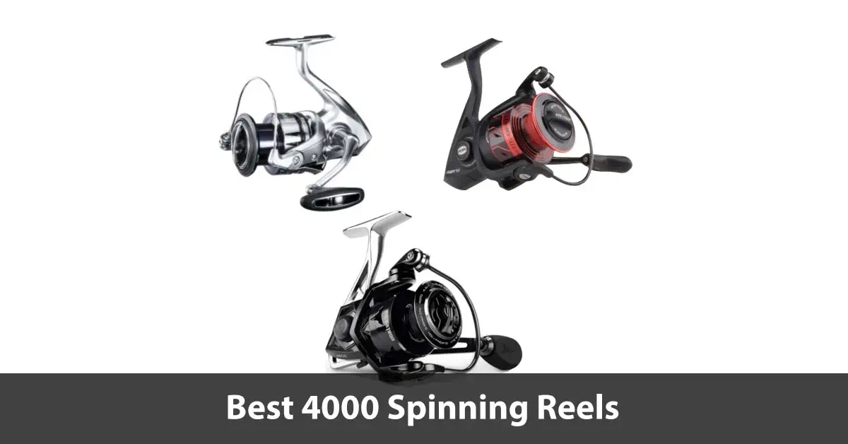 Best 4000 Spinning Reels