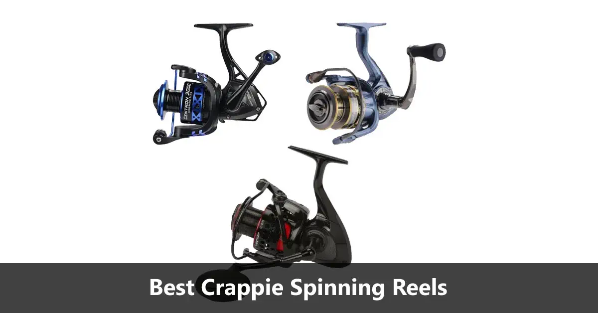 Best Crappie Spinning Reels