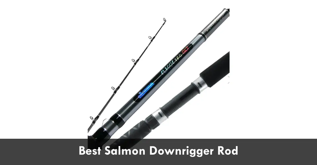Best Downrigger Rod For Salmon