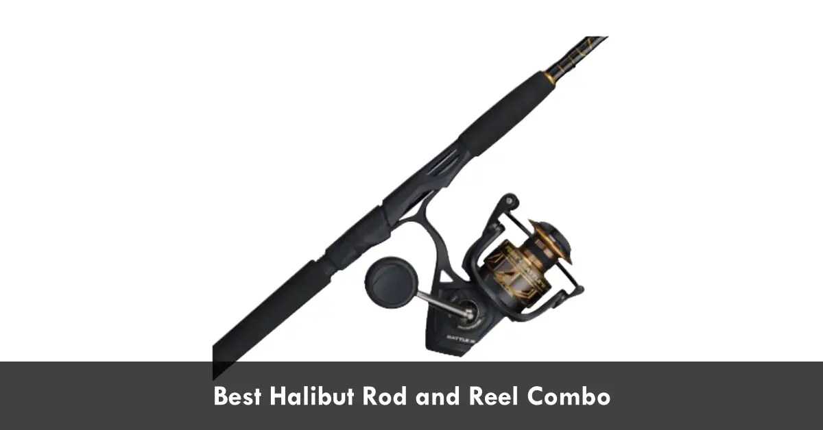 Best Combo For Halibut Fishing