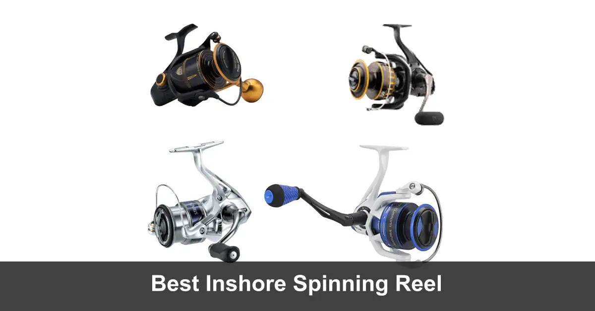 Best Inshore Spinning Reels