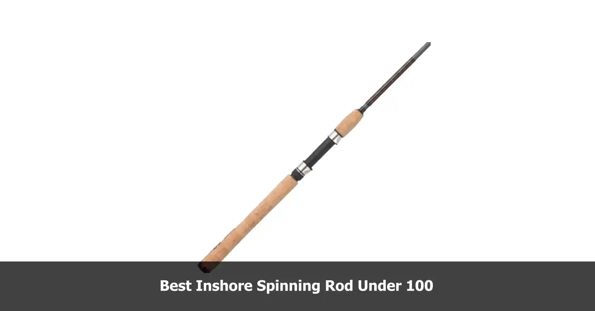 Best Inshore Spinning Rod Under 100