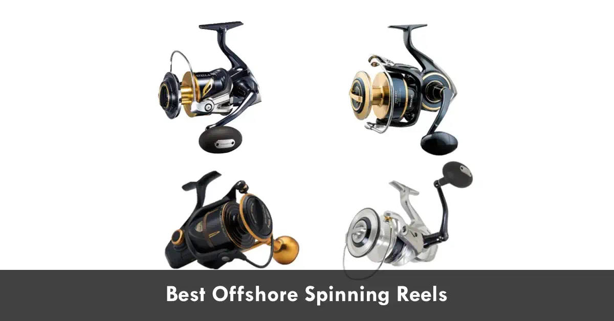 Best Offshore Spinning Reels