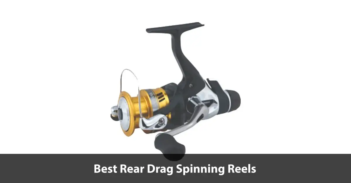 Best Rear Drag Spinning Reels