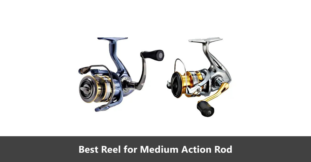 Top 3 Spinning Reels For Medium Action Rods