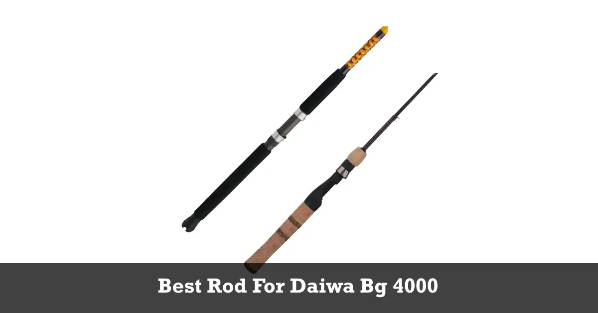 Best Rod For Daiwa Bg 4000