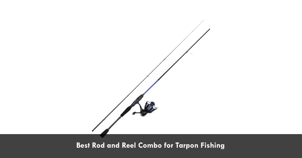 Best Rod And Reel Combo For Tarpon