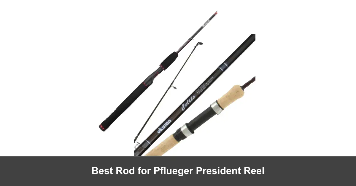 Best Rod For Pflueger President Reel