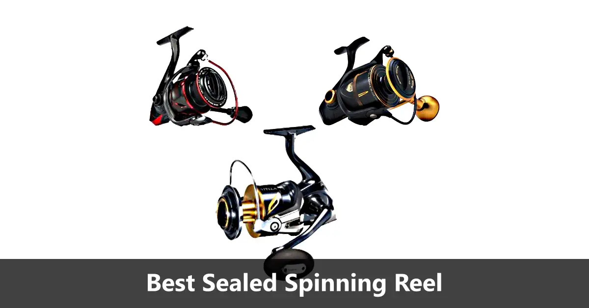 3 Best Sealed Spinning Reels