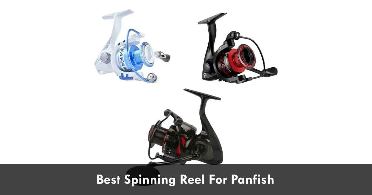Best Spinning Reel For Panfish