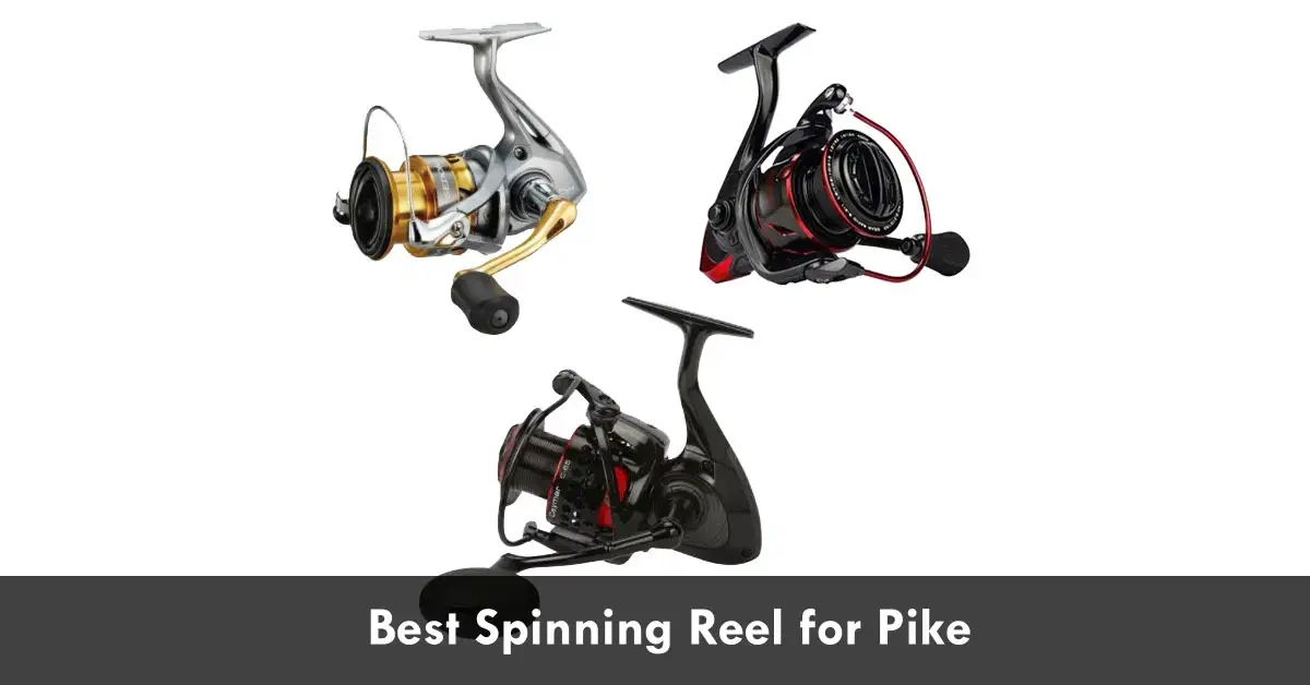 Best Spinning Reels For PIke
