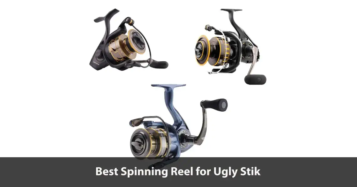 Best Spinning Reel For Ugly Stik Elite