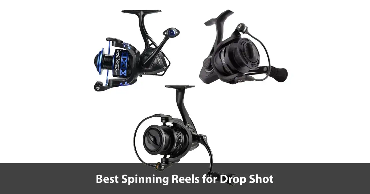 Best Spinning Reels For Drop Shot