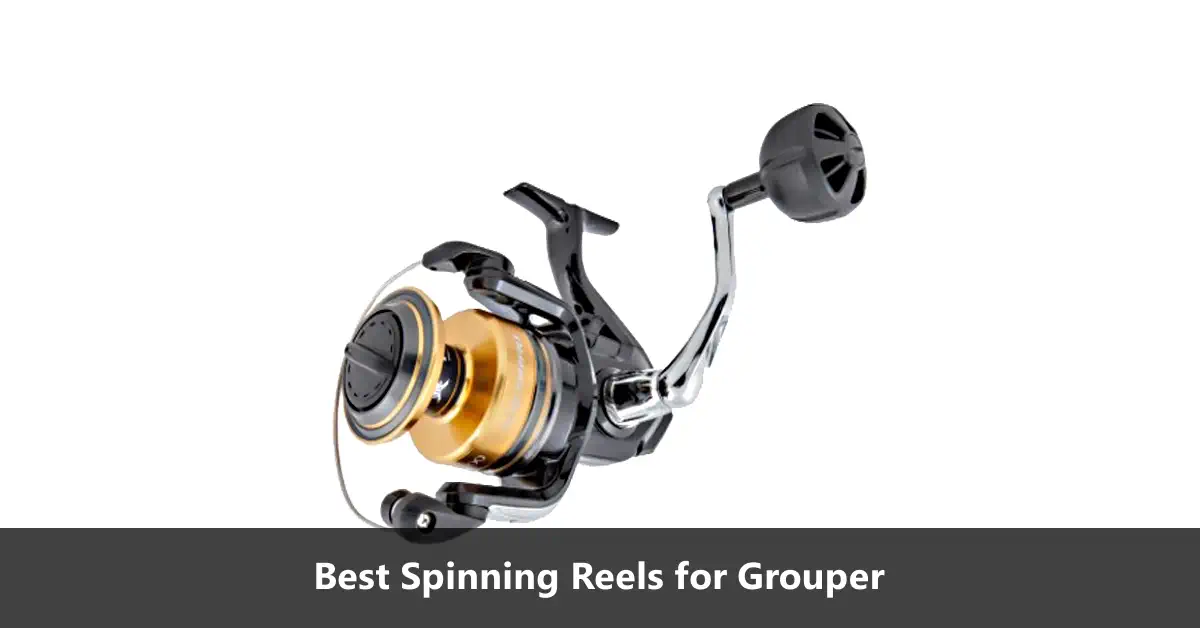 Best Spinning Reels For Grouper