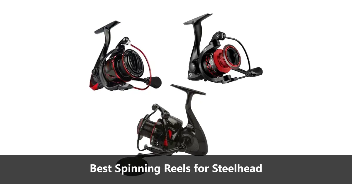 Best Spinning Reels For Steelhead