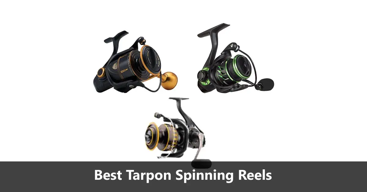 Best Tarpon Spinning Reels