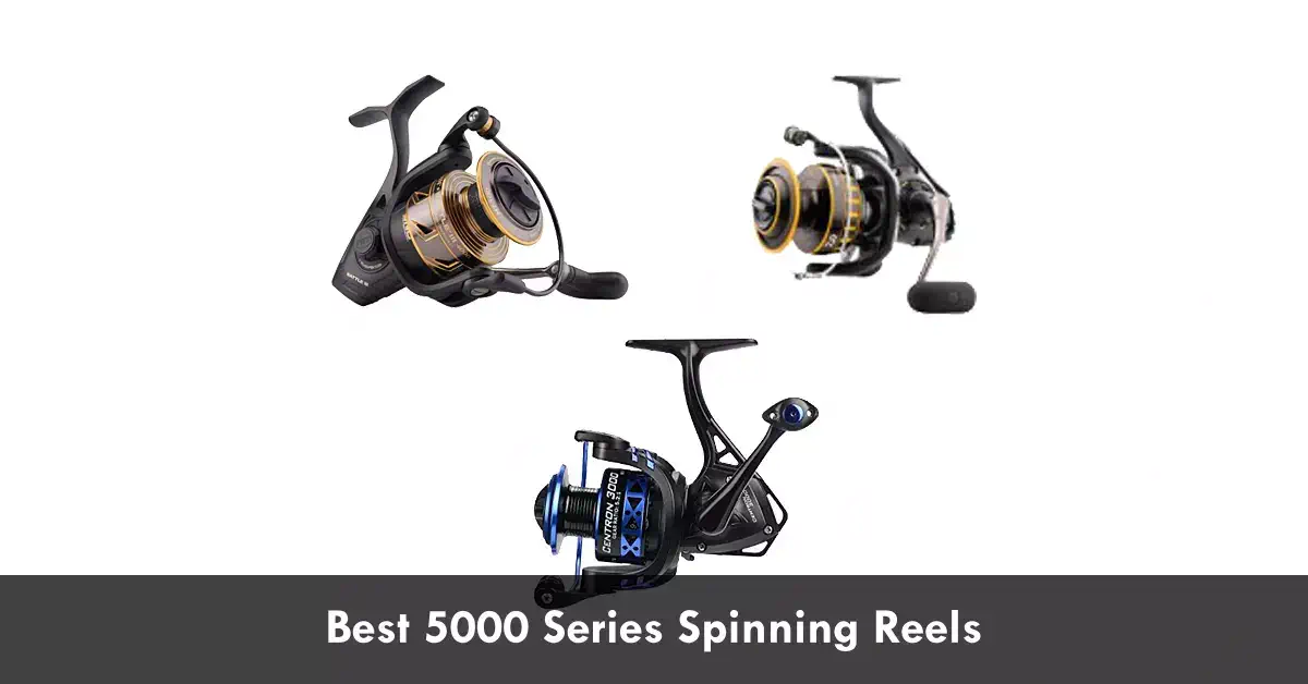 Best 5000 Series Spinning Reels