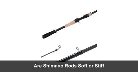 Are Shimano Rods Soft or Stiff? (A Quick Answer)