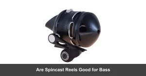  Are Spincast Reels Good for Bass