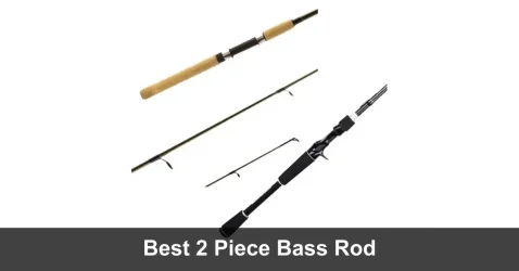 Best 2 Piece Bass Rod [2022 Picks]