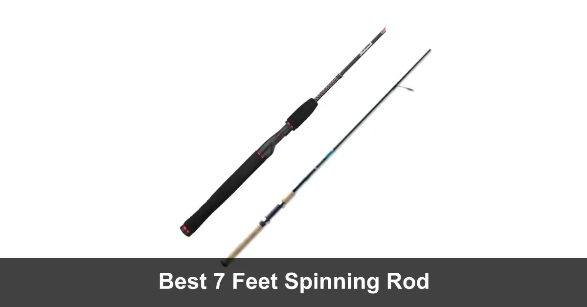 Best 7 Feet Spinning Rods