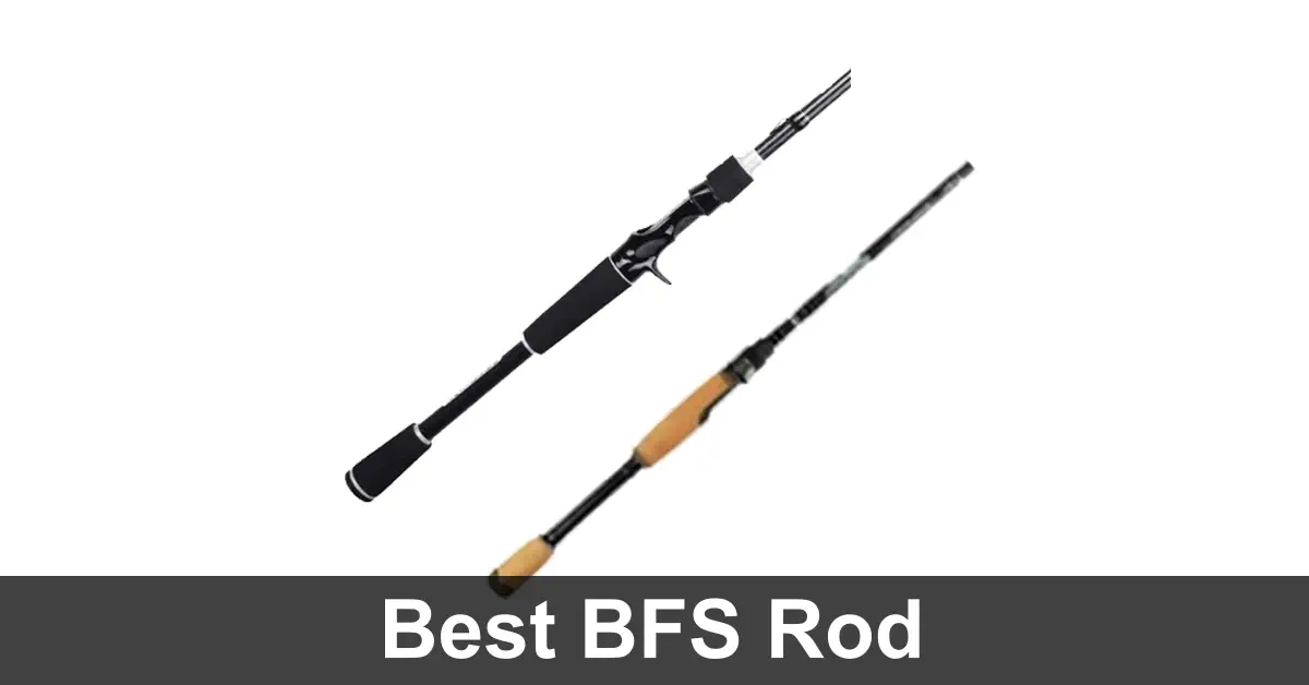 Best BFS Rods