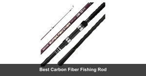 Best Carbon Fiber Fishing Rods