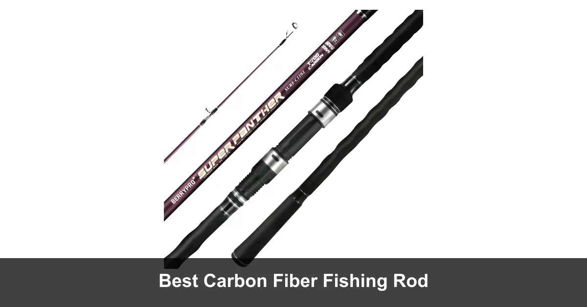 Best Carbon Fiber Fishing Rod [2024 Picks] Fishing Papa