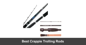 Best Crappie Trolling Rods