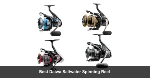 Best Daiwa Saltwater Spinning Reel