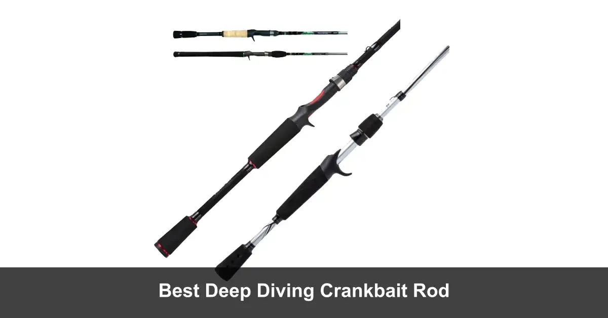 Best Deep Diving Crankbait Rod [2024 Picks] Fishing Papa