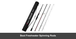 Best Freshwater Spinning Rods