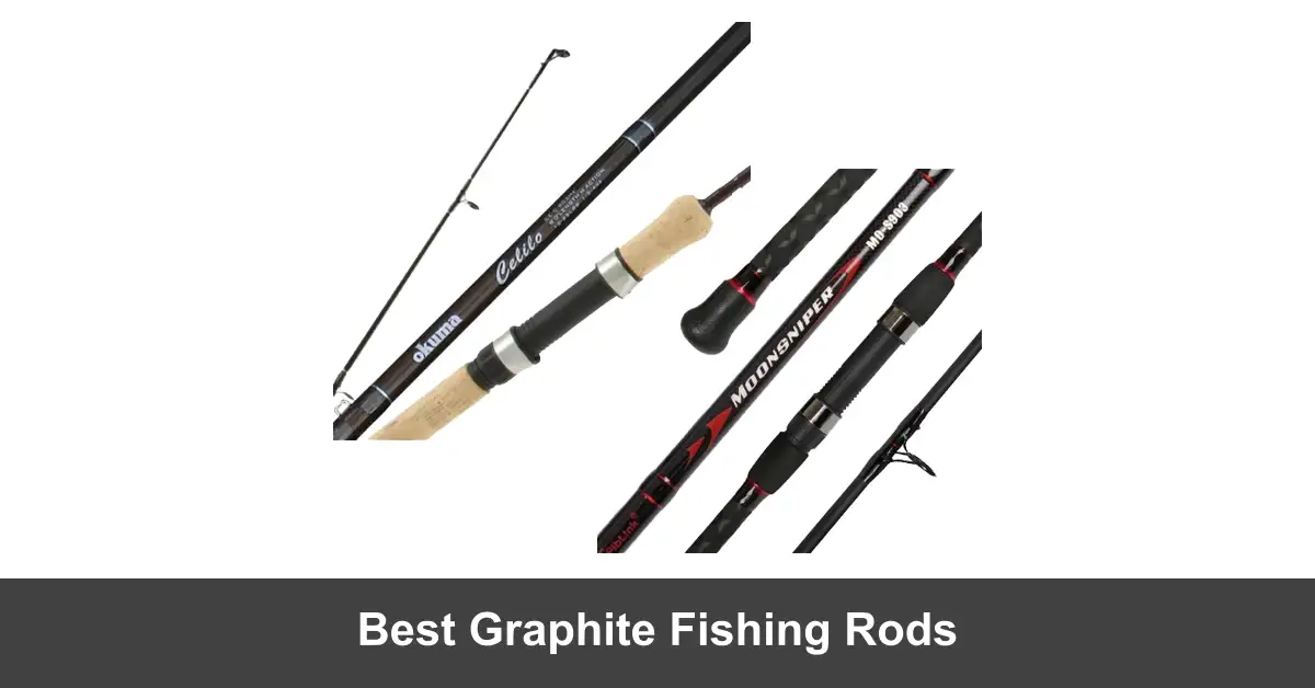 Best Graphite Fishing Rods [2024 Picks] Fishing Papa