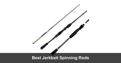 5 Best Jerkbait Spinning Rods (2022 Guide)