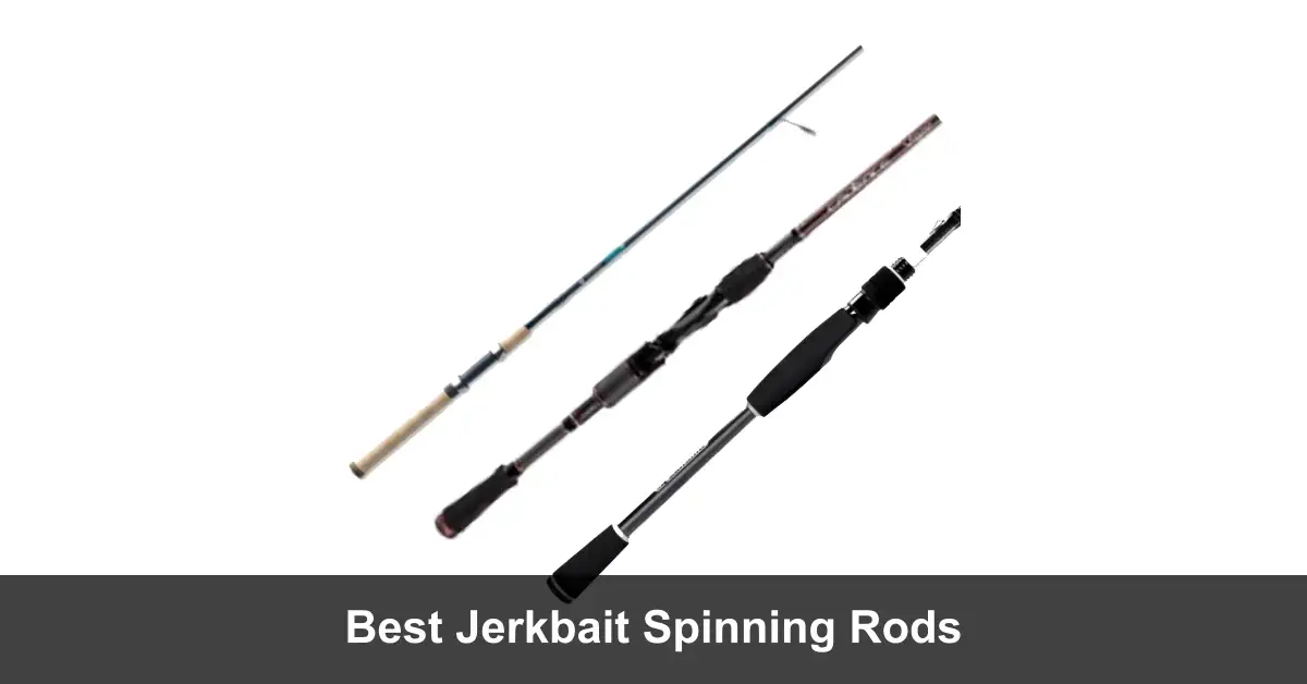 5 Best Jerkbait Spinning Rods (2024 Guide) Fishing Papa