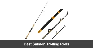 Best Salmon Trolling Rods