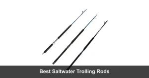 Best Trolling Rods For Saltwater