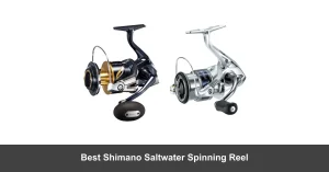 Best Shimano Saltwater Spinning Reels
