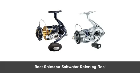 Best Shimano Spinning Reel for Saltwater [2022 Picks]