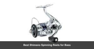 Best Shimano Spinning Reels For Bass