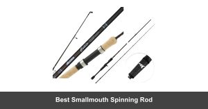 Best Smallmouth Spinning Rod