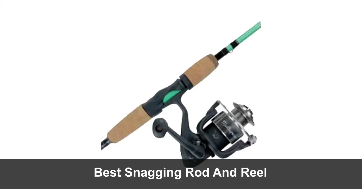 5 Best Snagging Rod And Reel [2024 Picks] Fishing Papa