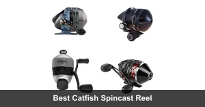 Best Catfish Spincast Reels