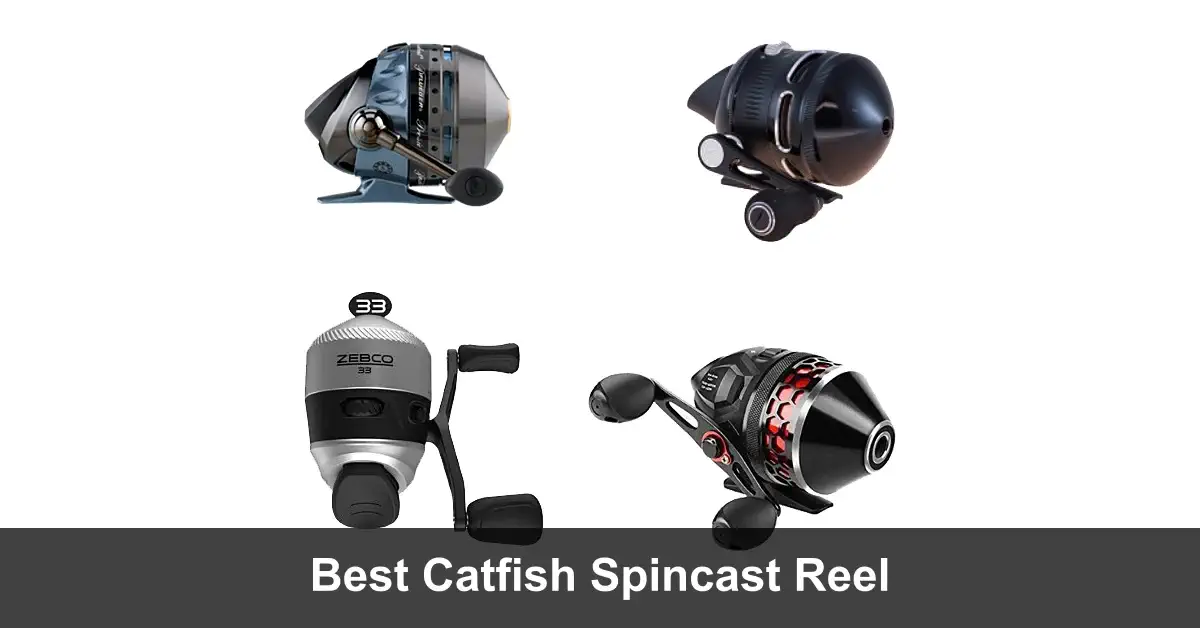 Best Spincast Reels For Catfish [2024 Picks] Fishing Papa