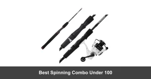 Best Spinning Combo Under 100