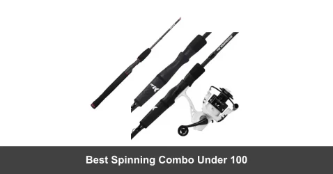 5 Spinning Combo Under 100$ – (Guide 2022)