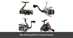 Best Finesse Spinning Reels