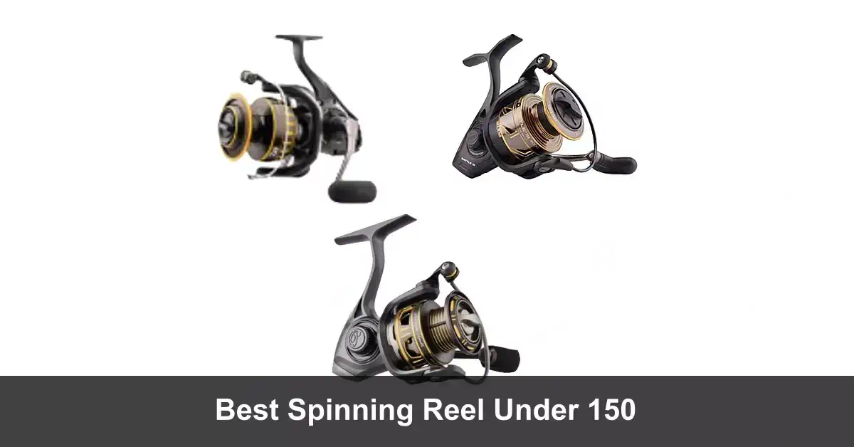 Best Spinning Reels Under 150