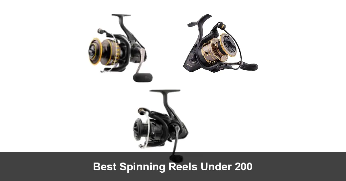 Best Spinning Reels Under 200